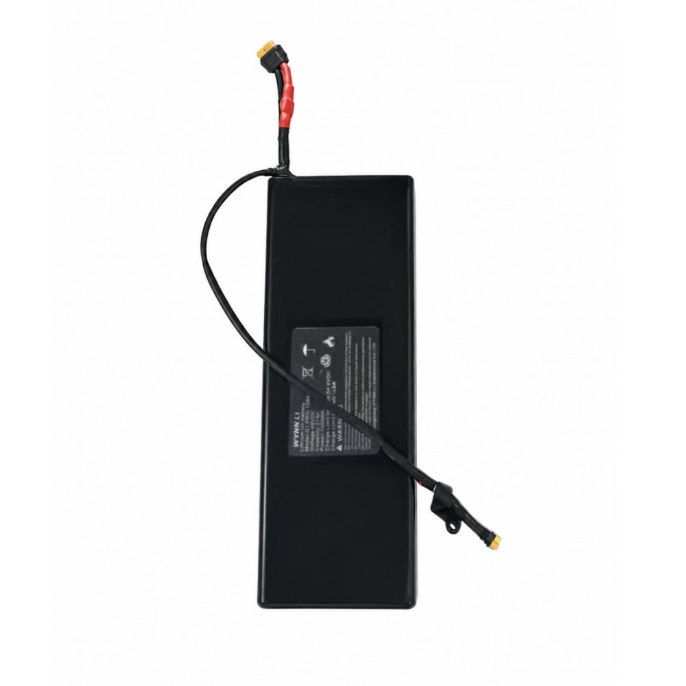 TOOINS X2 48V 21Ah replacement battery
