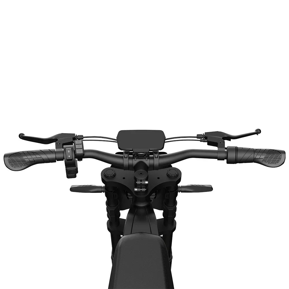 URLIFE E5 (US) Electric Bike
