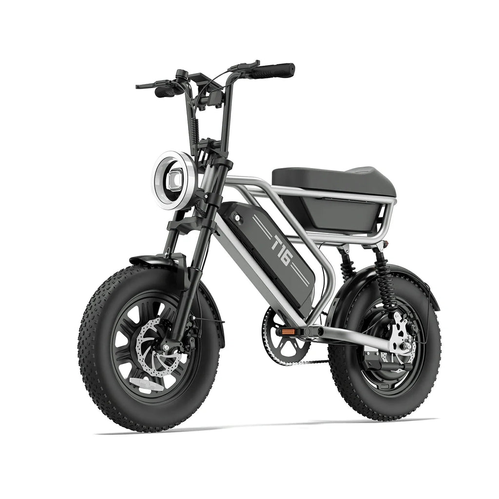 URLIFE T16 (US) Electric Bike
