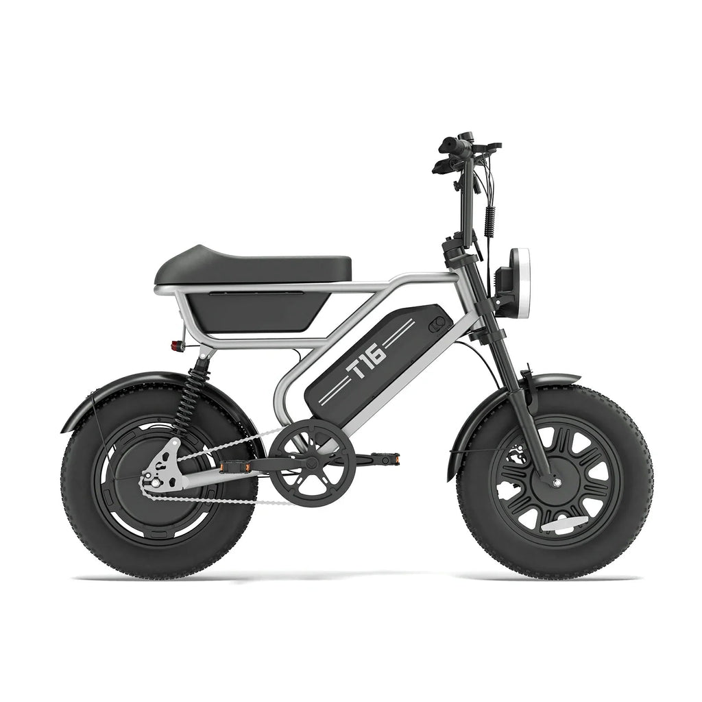 URLIFE T16 (US) Electric Bike