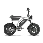 URLIFE T16 (US) Electric Bike