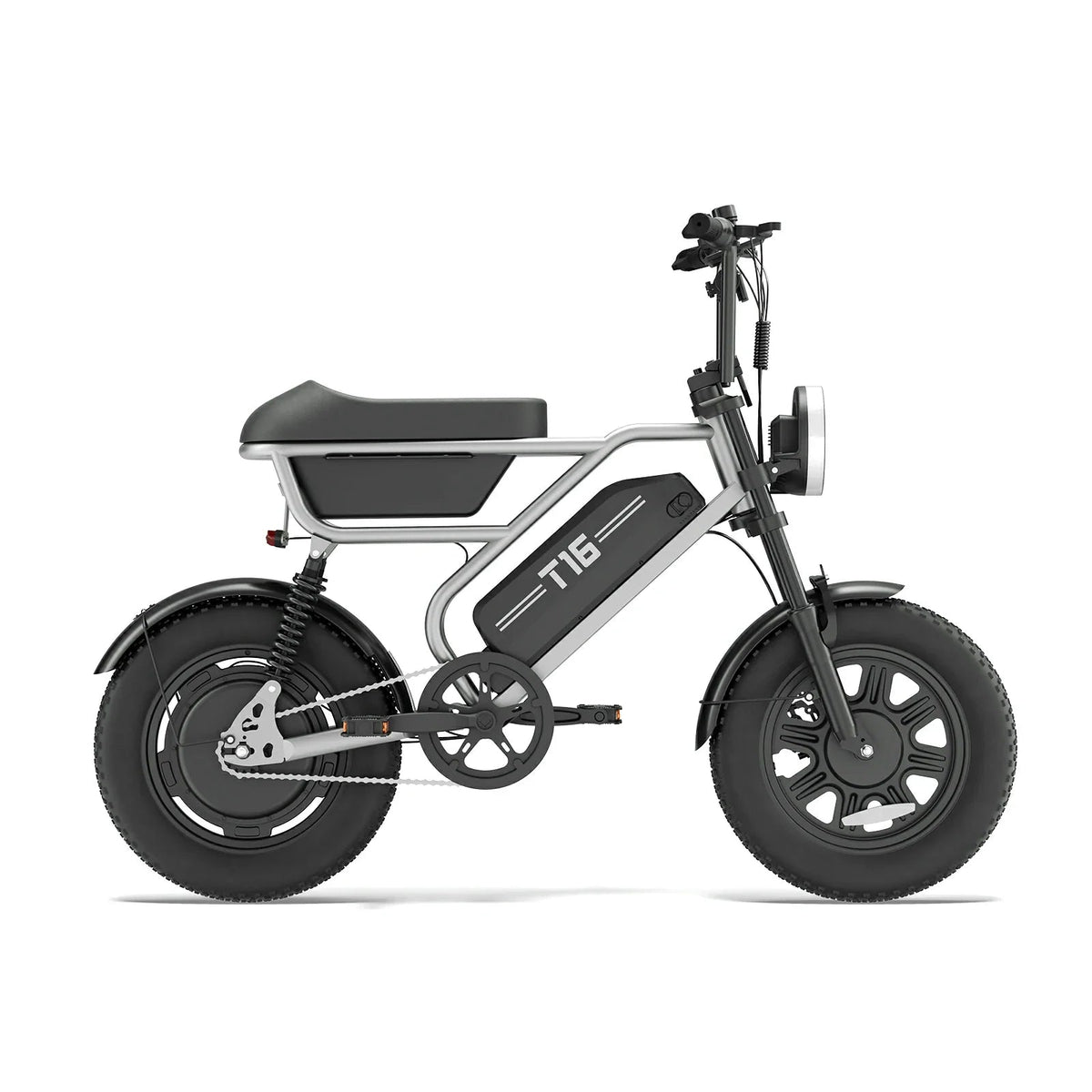 URLIFE T16 (US) Electric Bike
