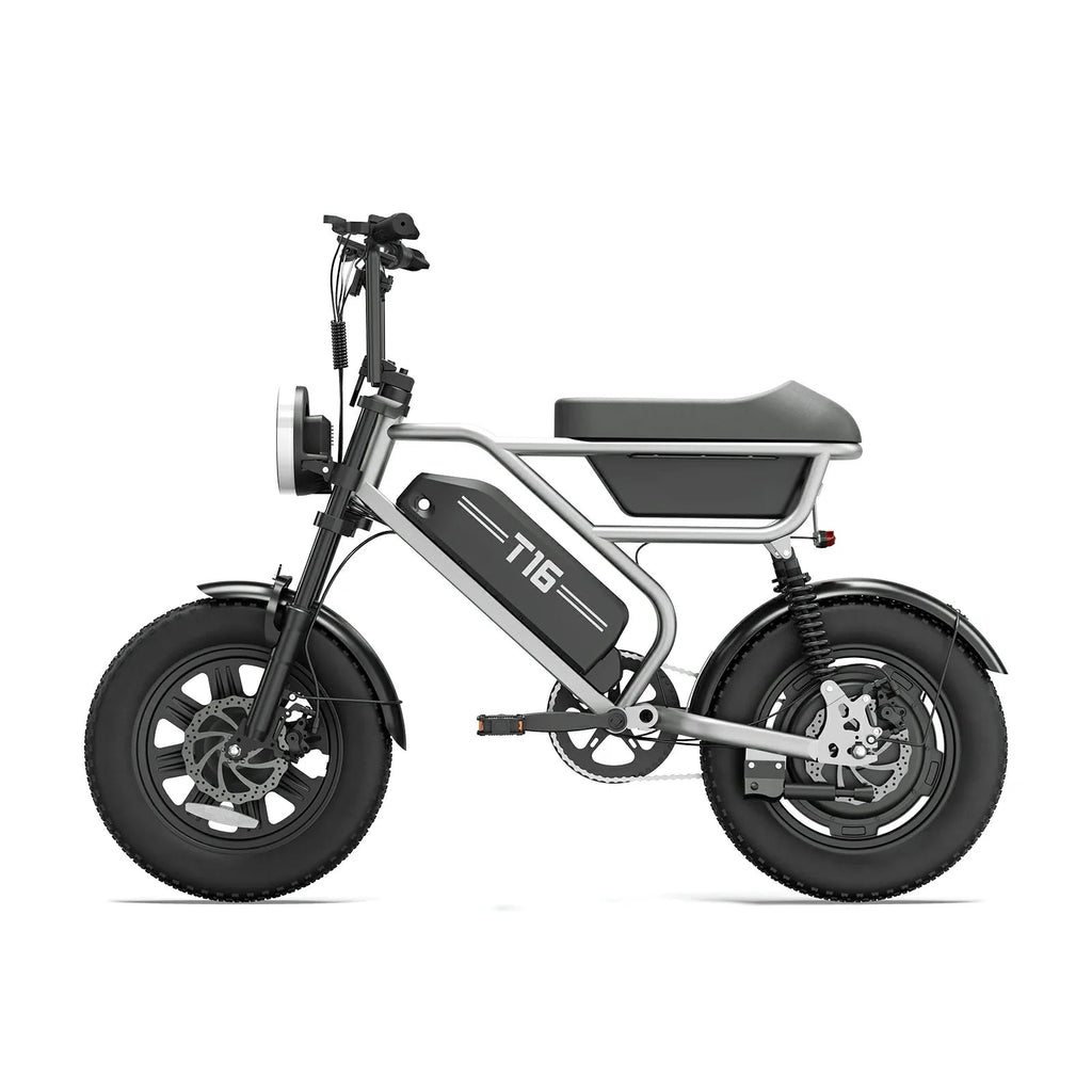 URLIFE T16 (US) Electric Bike