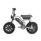 URLIFE T16 (US) Electric Bike