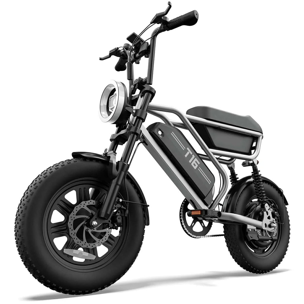 URLIFE T16 (US) Electric Bike
