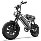 URLIFE T16 (US) Electric Bike