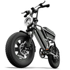 URLIFE T16 (US) Electric Bike