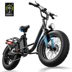 URLIFE E20 Pro (EU) Electric Bike