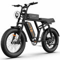 URLIFE T2 (EU) Electric Bike