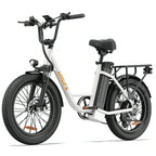 URLIFE E20 (EU) Electric Bike