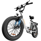 URLIFE E20 (EU) Electric Bike
